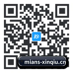 系统版 iOS 二维码